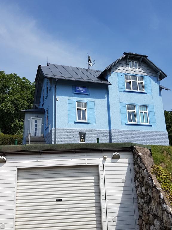 Blue Pension Svoboda nad Úpou Eksteriør bilde